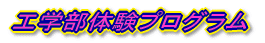 724@Hw̌vO
