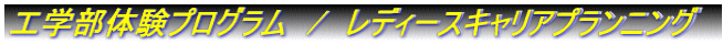 Hw̌vO@/@fB[XLAvjO